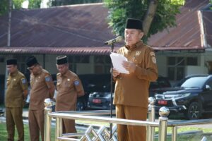 IMG-20240610-WA0009(1)