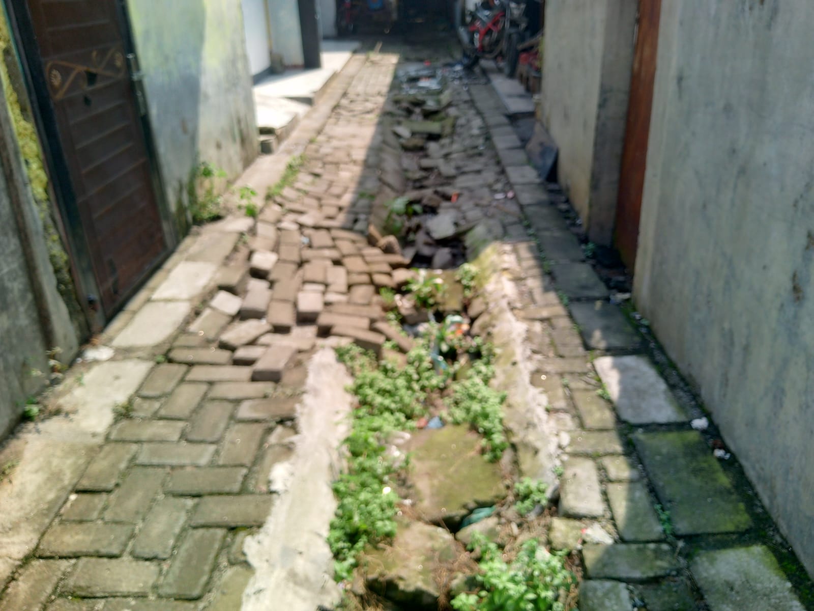 IMG-20240814-WA0025