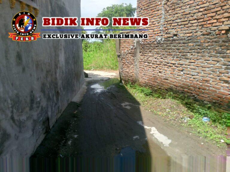 IMG-20240912-WA0004