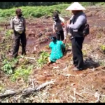 IMG_20260388_235030303