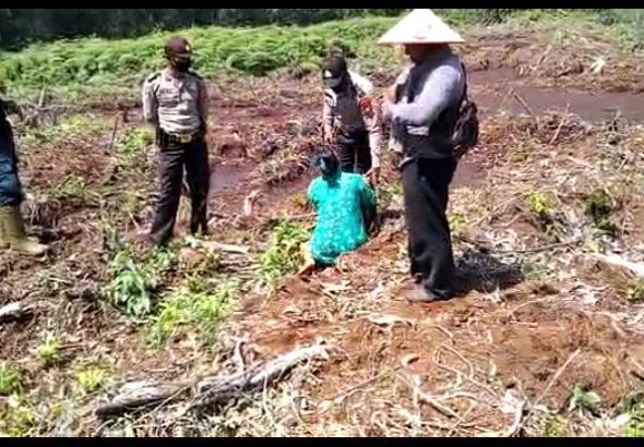 IMG_20260388_235030303