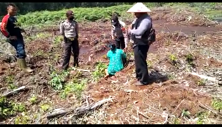 IMG_20260388_235030303